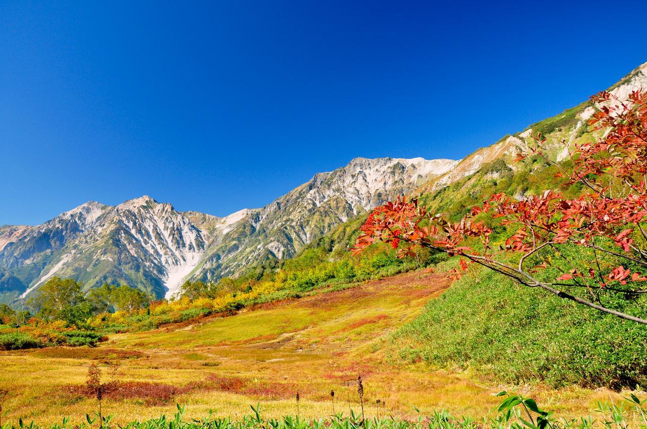 Hotel Hakuba Berghaus Otari Buitenkant foto